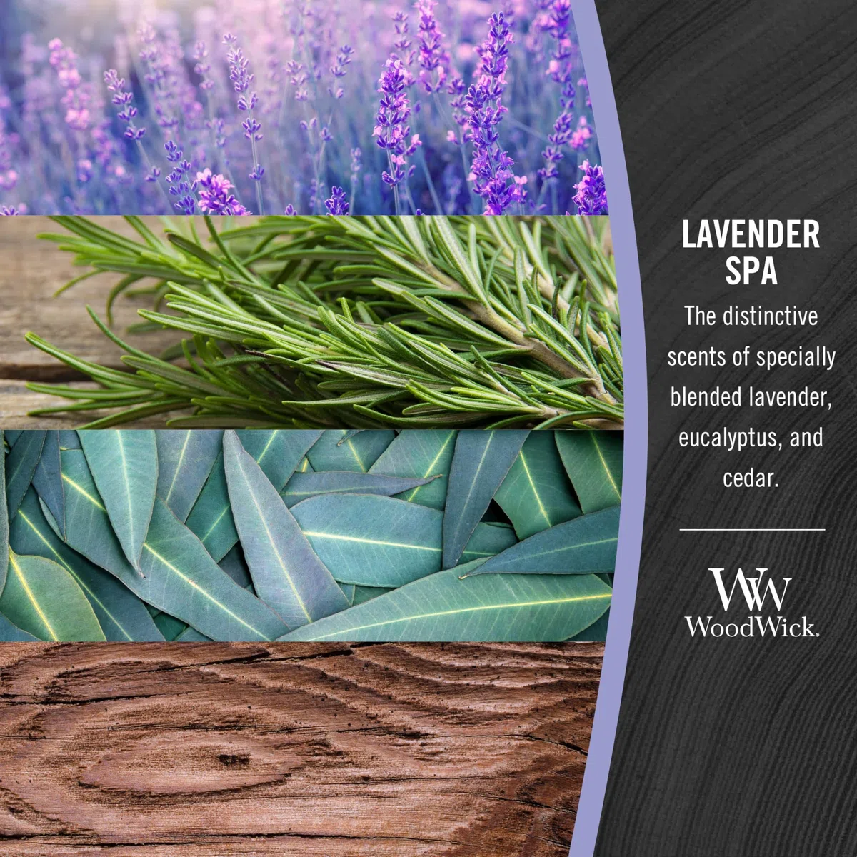 WoodWick Candela profumata Ellispe con stoppino crepitante | Lavender Spa | Durata della fragranza: fino a 50 ore