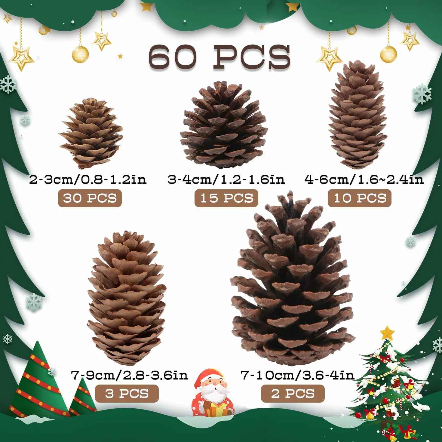 Jangostor 60 Pezzi Pigne Natalizie, Dimensione Multipla Naturali Pigne Decorative Per Decorazione da tavolo Albero di Natale Regali artigianali Ringraziamento