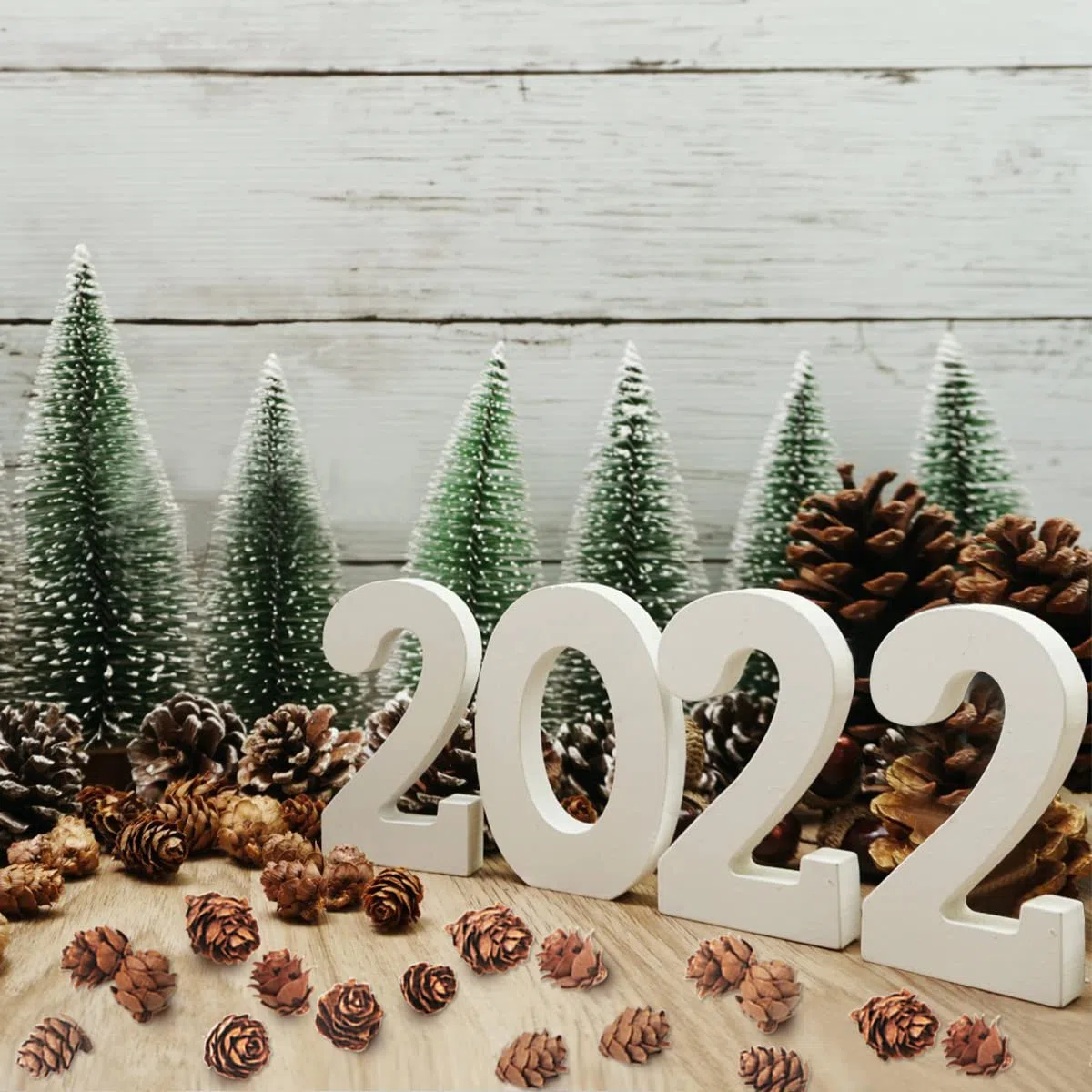 200 Pezzi Pigne di Natale Mini pigne naturali Pigne del Ringraziamento Pigne Ornamenti per la decorazione domestica Artigianato fai da te Albero di Natale Decorazione autunno inverno