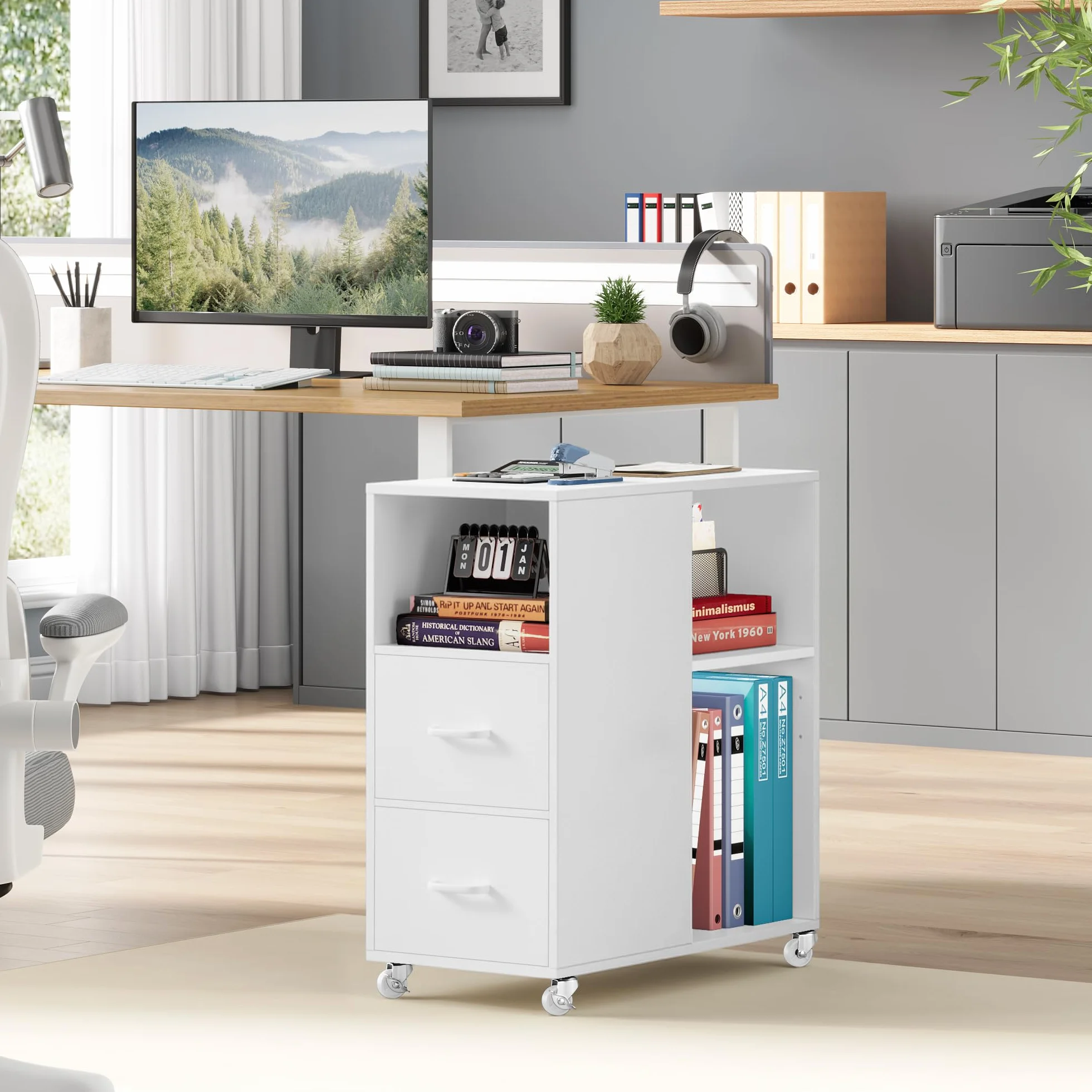 HOCSOK Armadietto da Ufficio con 2 Cassetti, Armadio di Archiviazione Rimovibile Sotto la Scrivania, Cassettiera Schedario da Ufficio, Bianco