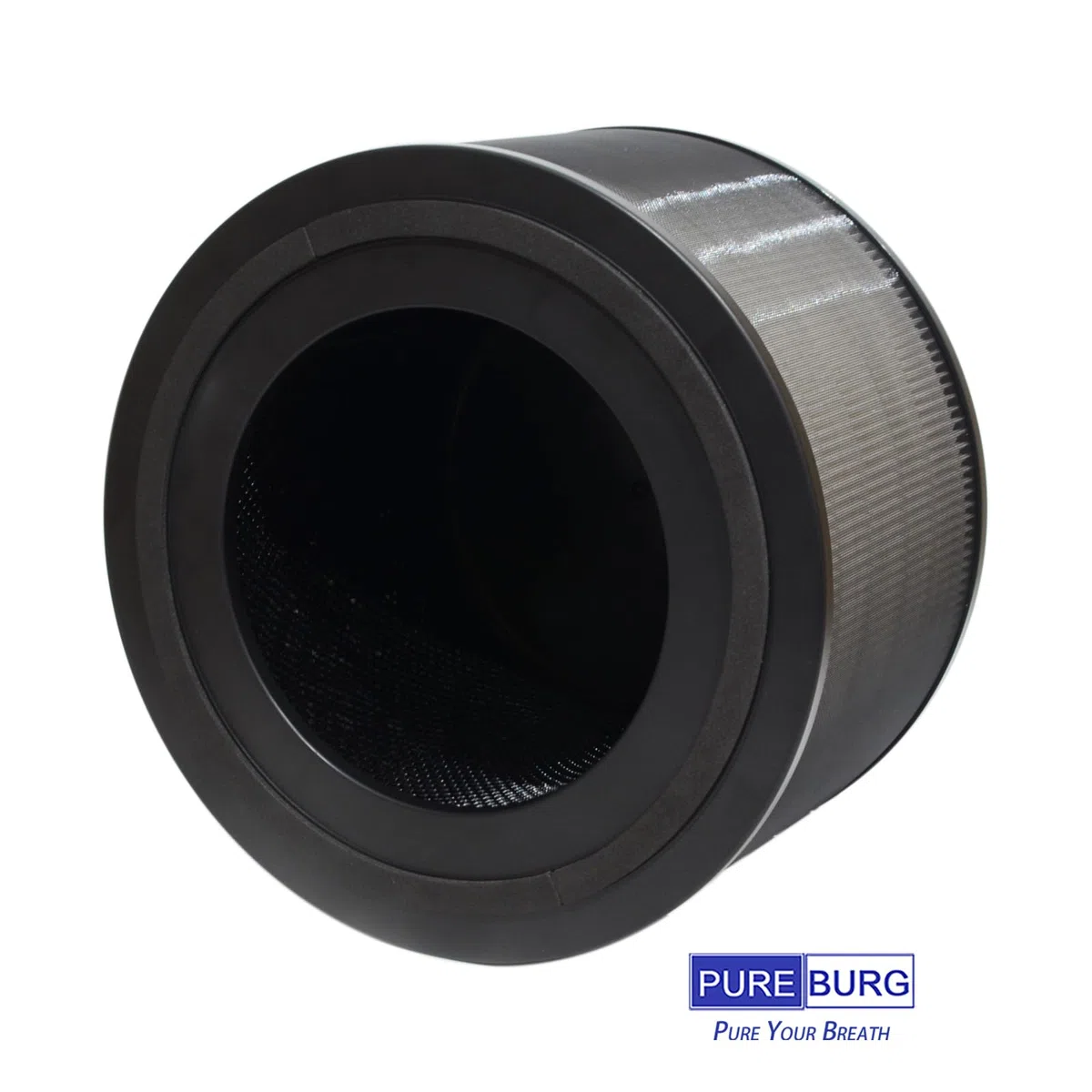PUREBURG FY3200/30 Filtro di ricambio compatibile con purificatori d'aria Philips Serie 3200 AC3210 AC3220 e AC3221, confezione da 1 (2 pezzi) H13 HEPA a carboni attivi