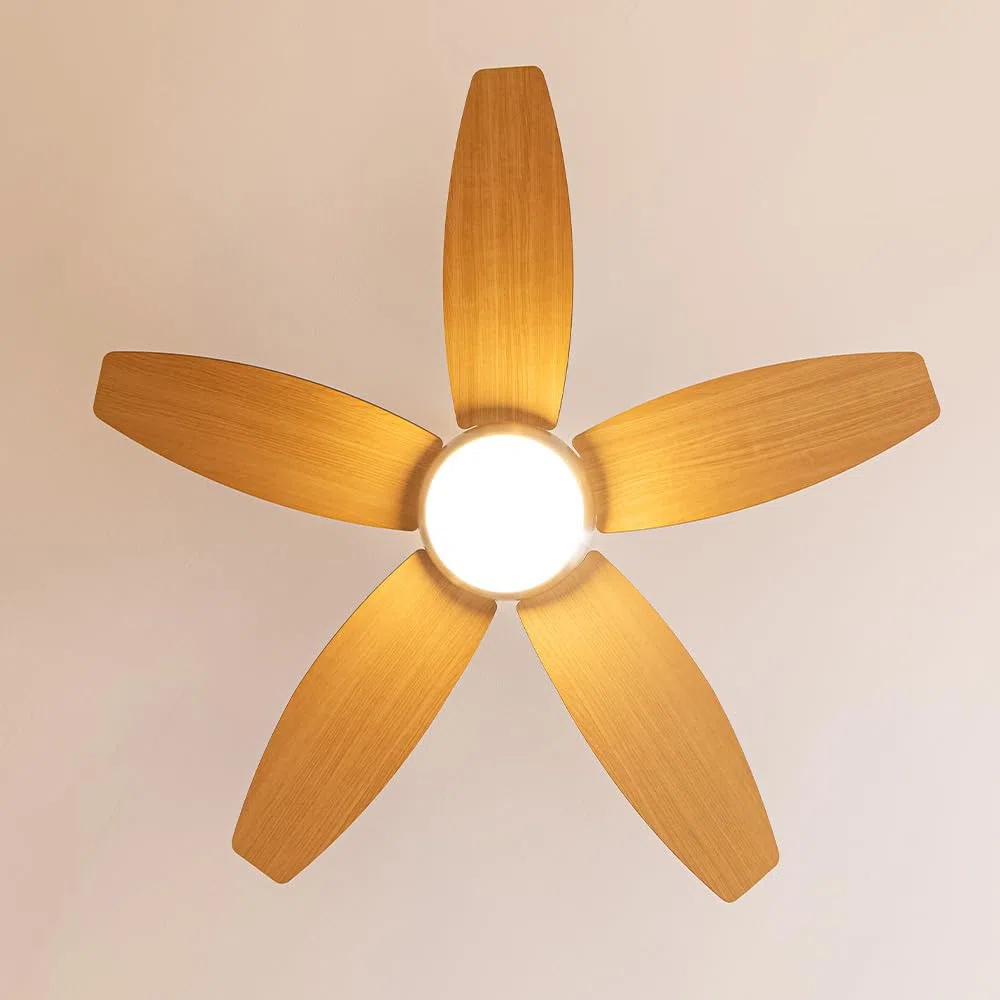 Cecotec Ventilatore da soffitto con luce EnergySilence Aero 495 55 W, diametro 42" con 5 pale reversibili, luce LED, telecomando, timer fino a 8h, 3 velocità
