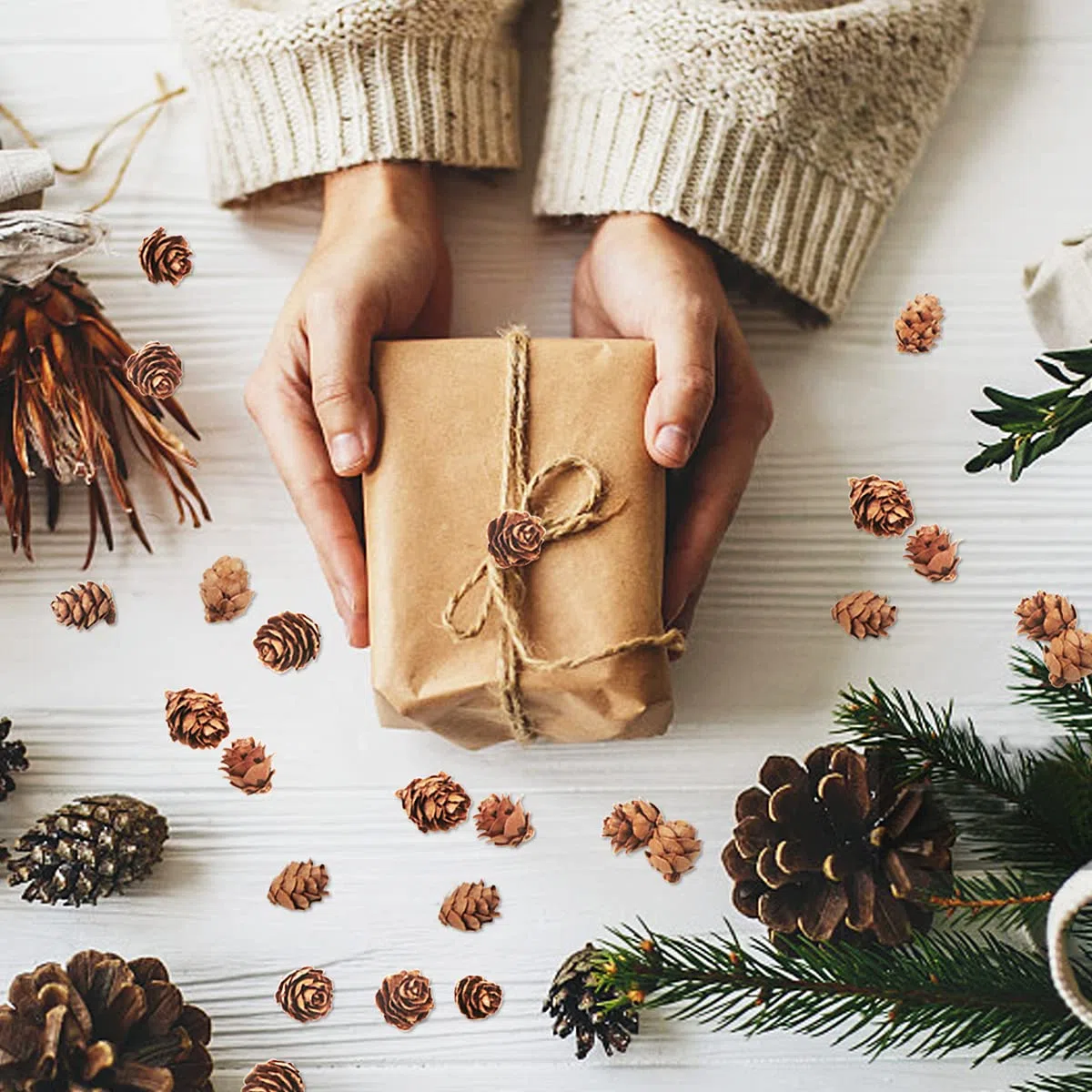 200 Pezzi Pigne di Natale Mini pigne naturali Pigne del Ringraziamento Pigne Ornamenti per la decorazione domestica Artigianato fai da te Albero di Natale Decorazione autunno inverno