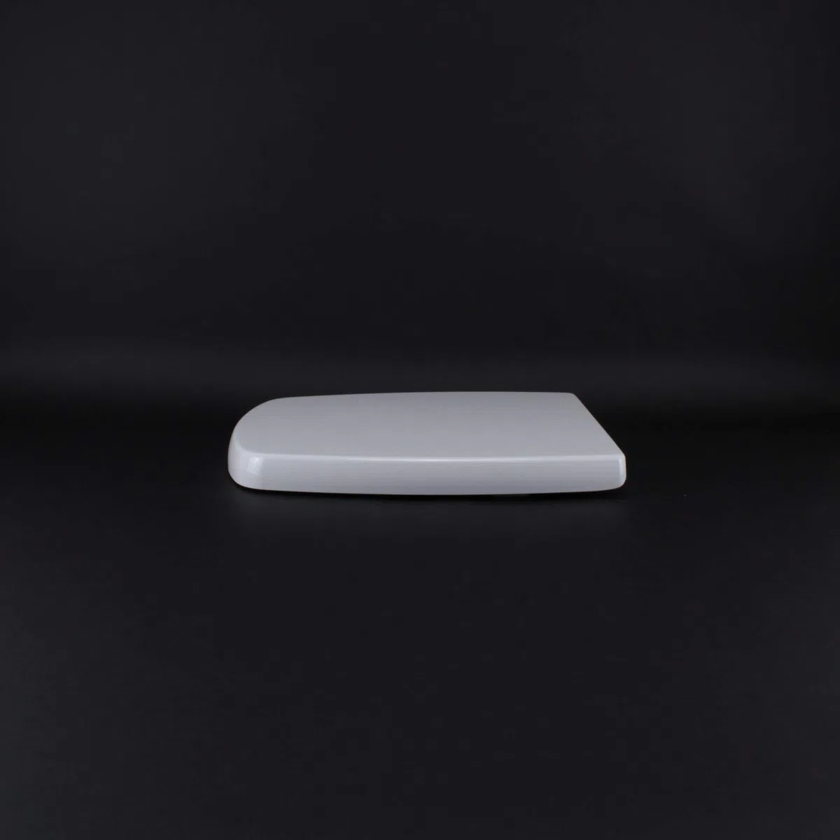 Copriwater per GALASSIA SA02 come ORIGINALE TERMOINDURENTE BIANCO cerniera inox normale