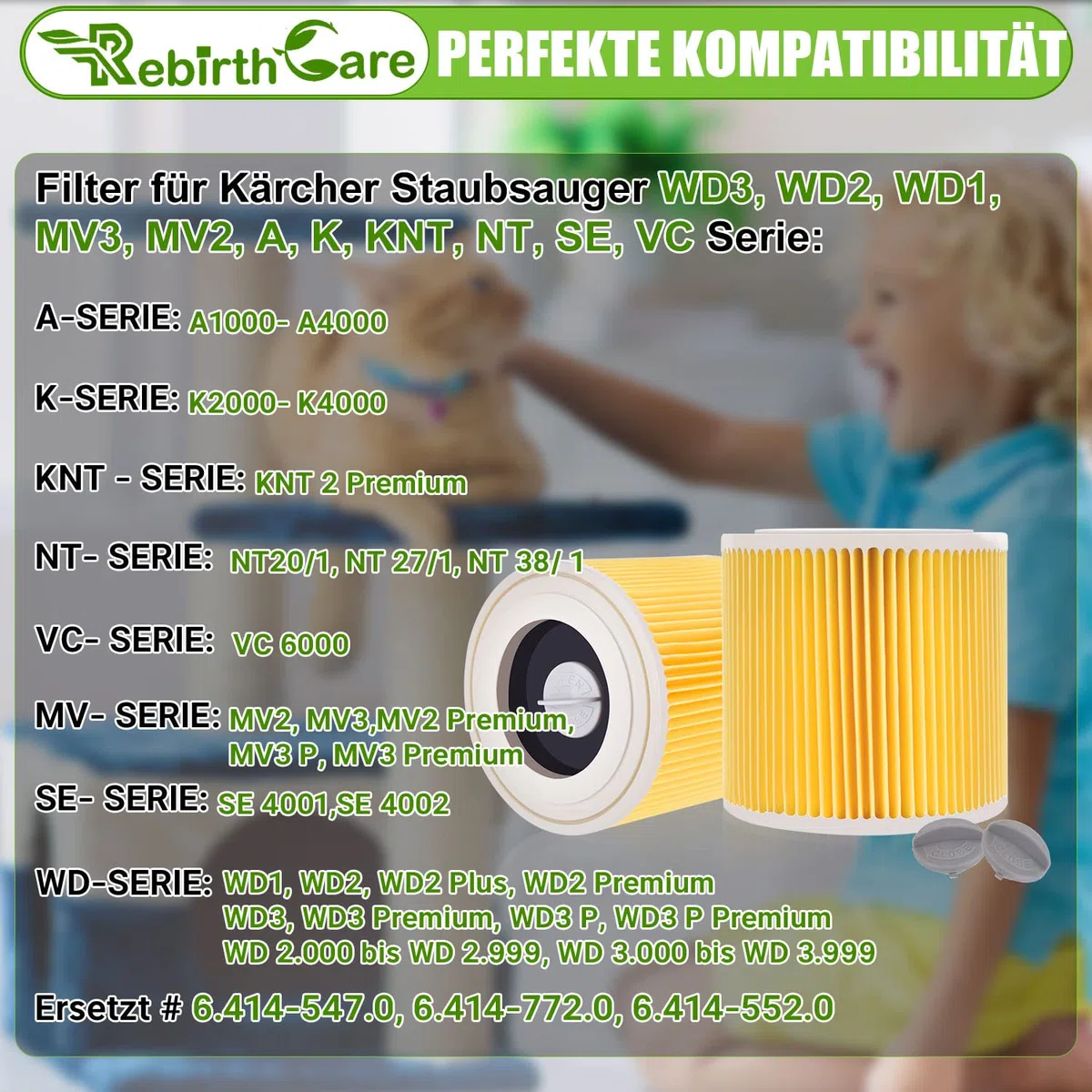 Rebirthcare filtri aspirapolvere per kärche premium wd3 wd2 mv2 mv3 wd 3p, wd 3.200, wd 3.500 p, se 4001, se 4002, a2054, a2004, a2254, a2604, filtro aspirapolvere 6.414-552.0/64145520 (WD3-2PCS)