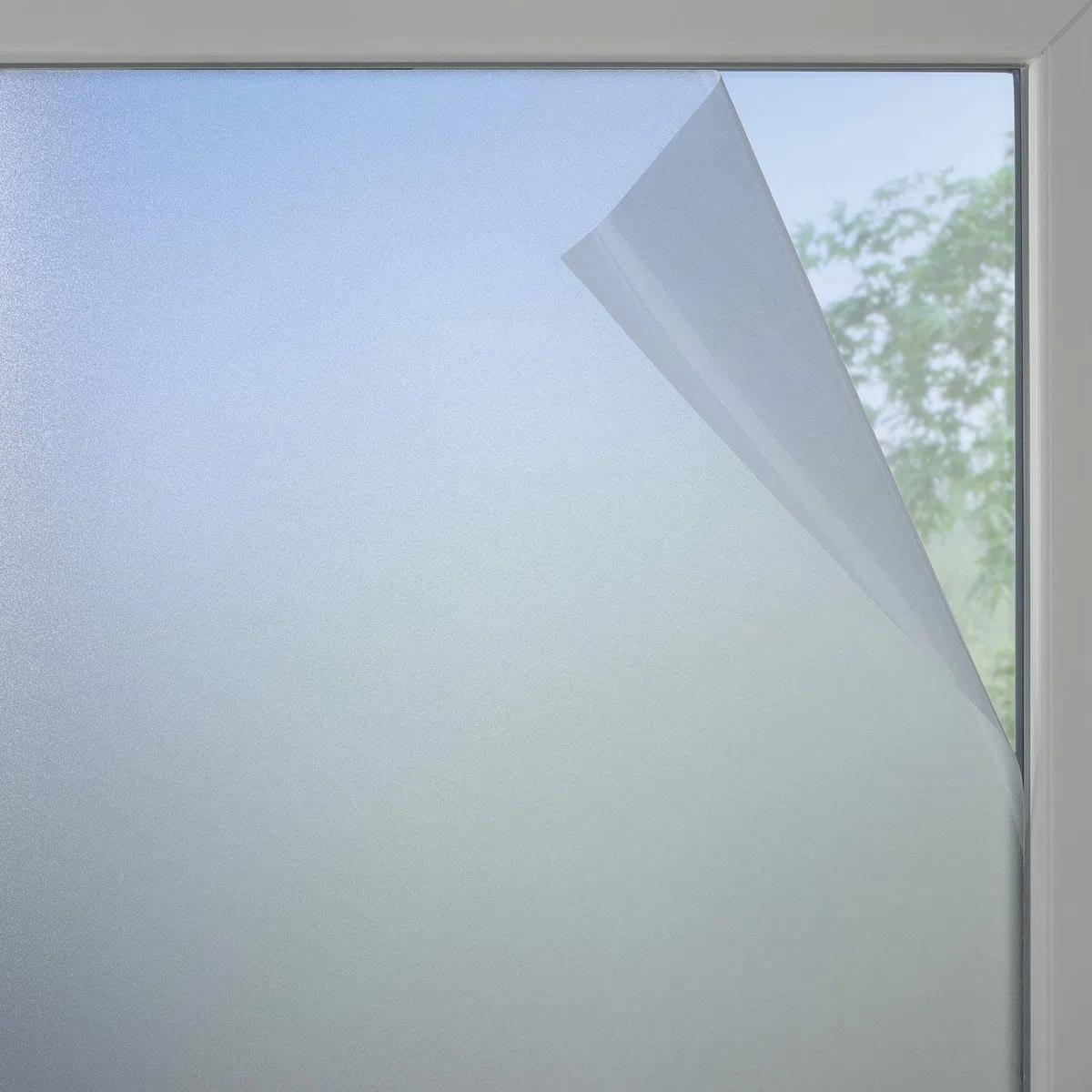 Gardinia 23-4101 Pellicola per finestre, Effetto Vetro opalino, 90 x 200 cm, Colore: Bianco Opaco, PVC