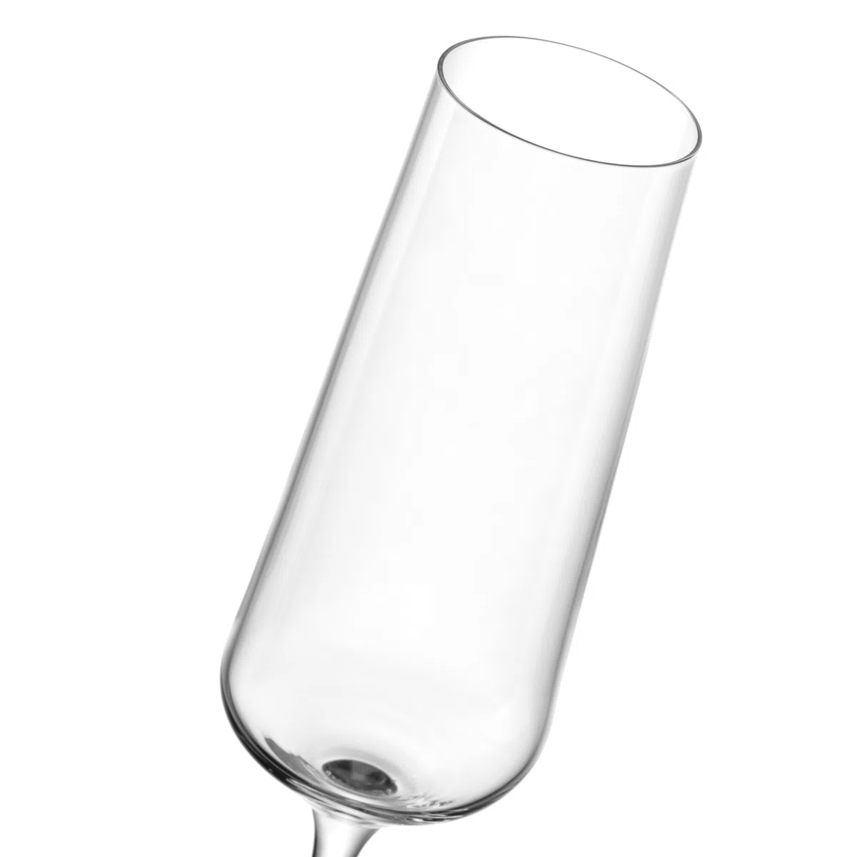 Leonardo Paladino 066313 - Set di 12 bicchieri per vino bianco, vino rosso e spumante, lavabili in lavastoviglie, bicchieri da spumante e vino