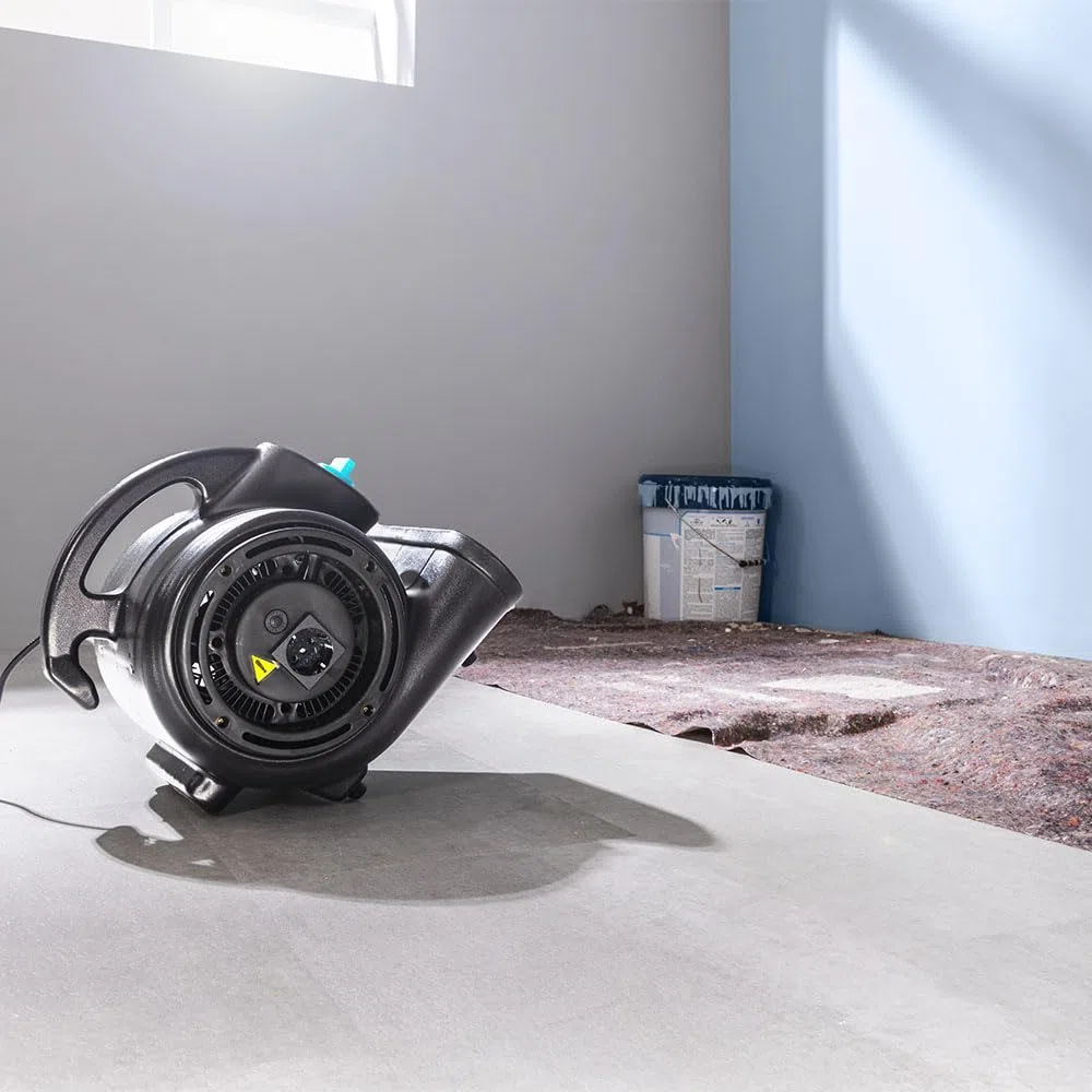 Cecotec Ventilatore Essiccatore di Moquette - Ventilatore di Asciugatura Blowindustry 2000 Flowfloor. 200W, 1400RPM, 3 Velocità, Flusso Aria 1150m³/h, Multi-Posizione, Distribuzione Uniforme