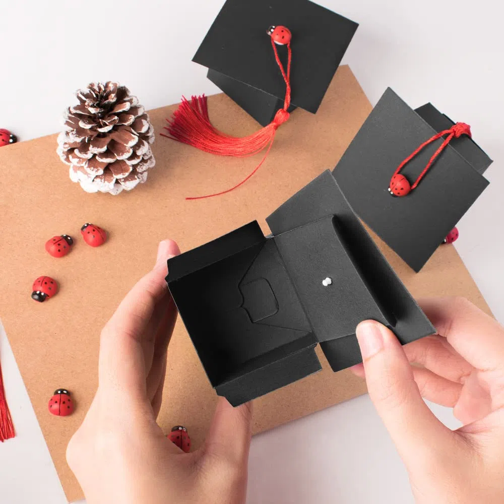 50 Pezzi Bomboniere Laurea Scatoline Confetti Laurea di Cappello in Kraft con 50 Ciondoli Coccinella 50 Nastri Rossi