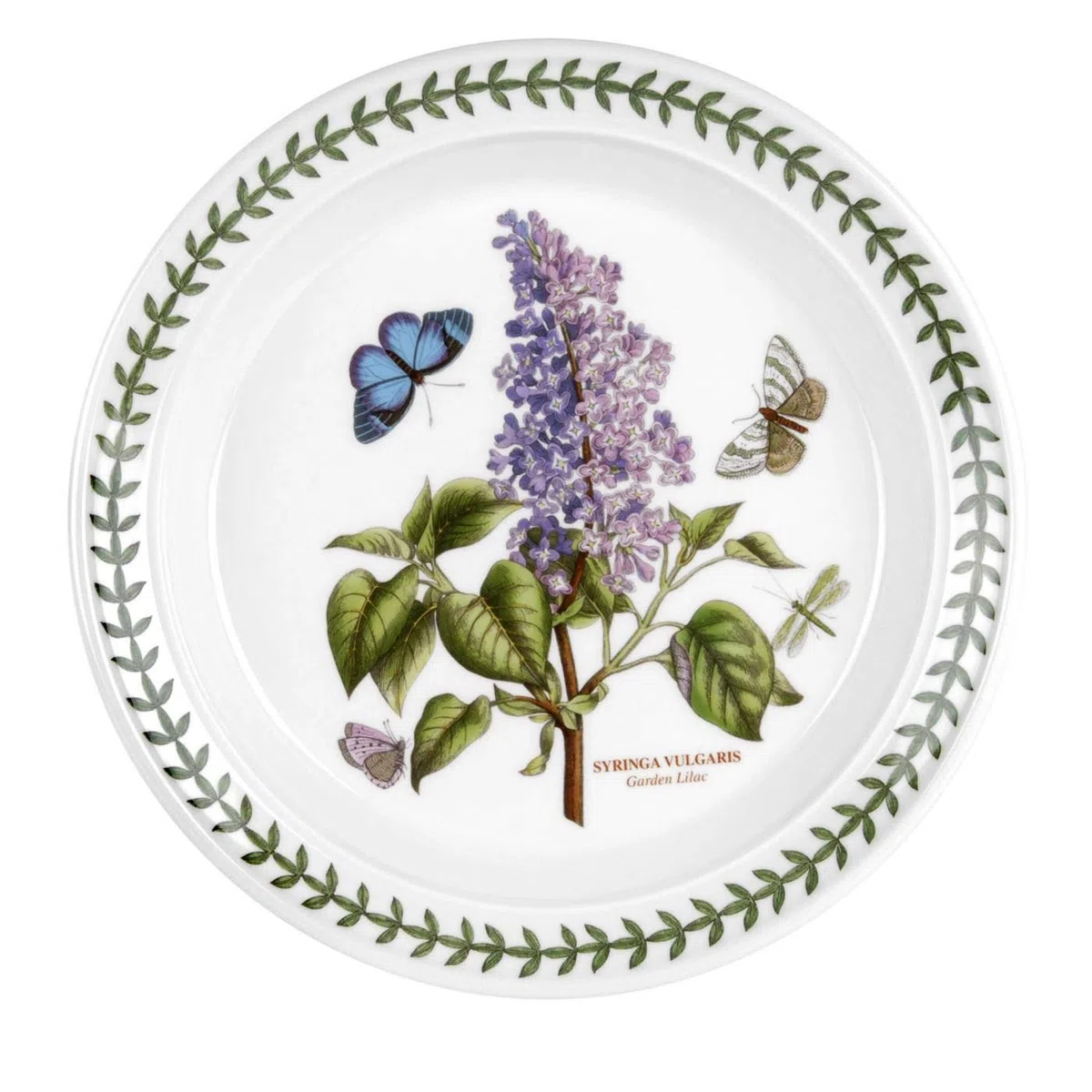 Portmeirion Botanic Garden - Piatto da insalata da giardino lilla