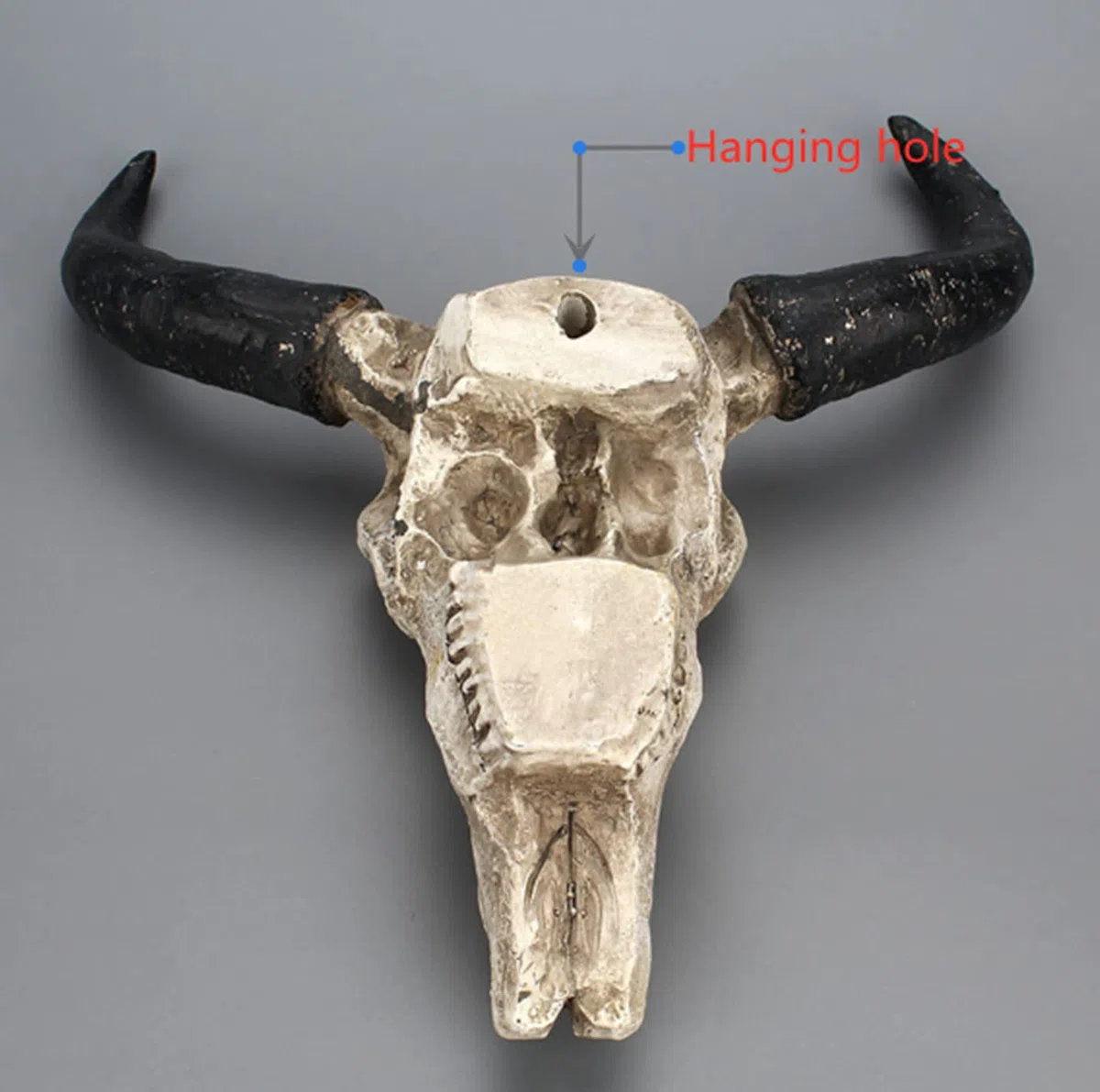 LXLUOO Arazzo da parete con teschio di mucca, resina Longhorn cranio mucca, decorazione da parete per cameretta dei bambini, decorazione in resina con foro di sospensione