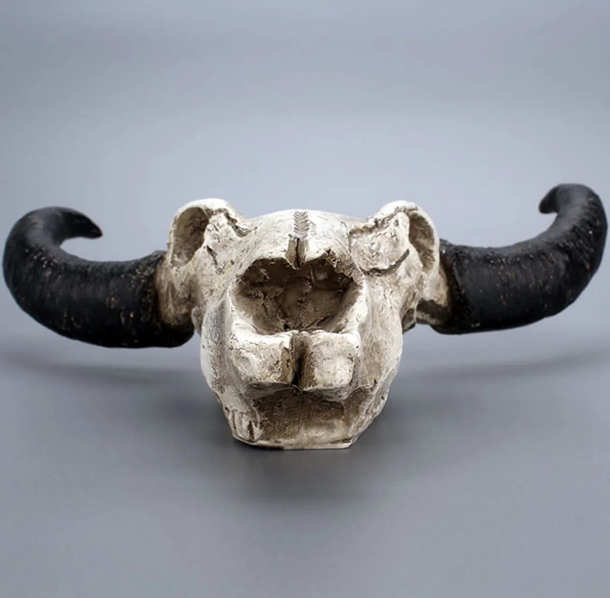 LXLUOO Arazzo da parete con teschio di mucca, resina Longhorn cranio mucca, decorazione da parete per cameretta dei bambini, decorazione in resina con foro di sospensione