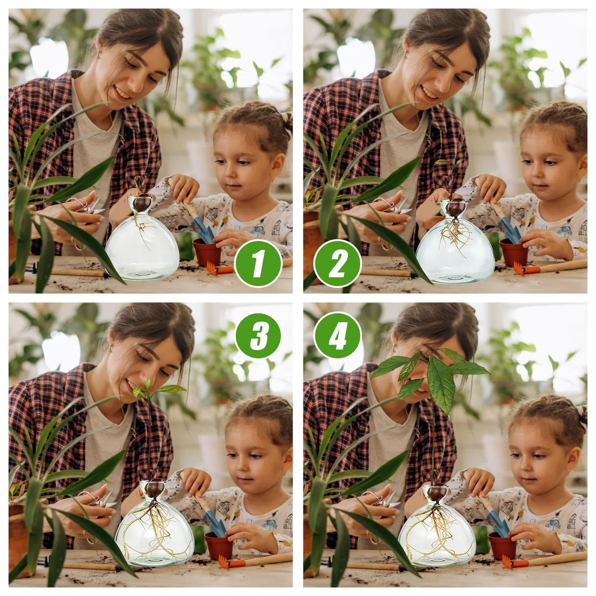 Lampadina per avocado, vaso in vetro per fiori, semi di avocado, vaso di avocado e castagne, per la casa, per interni ed esterni (trasparente)