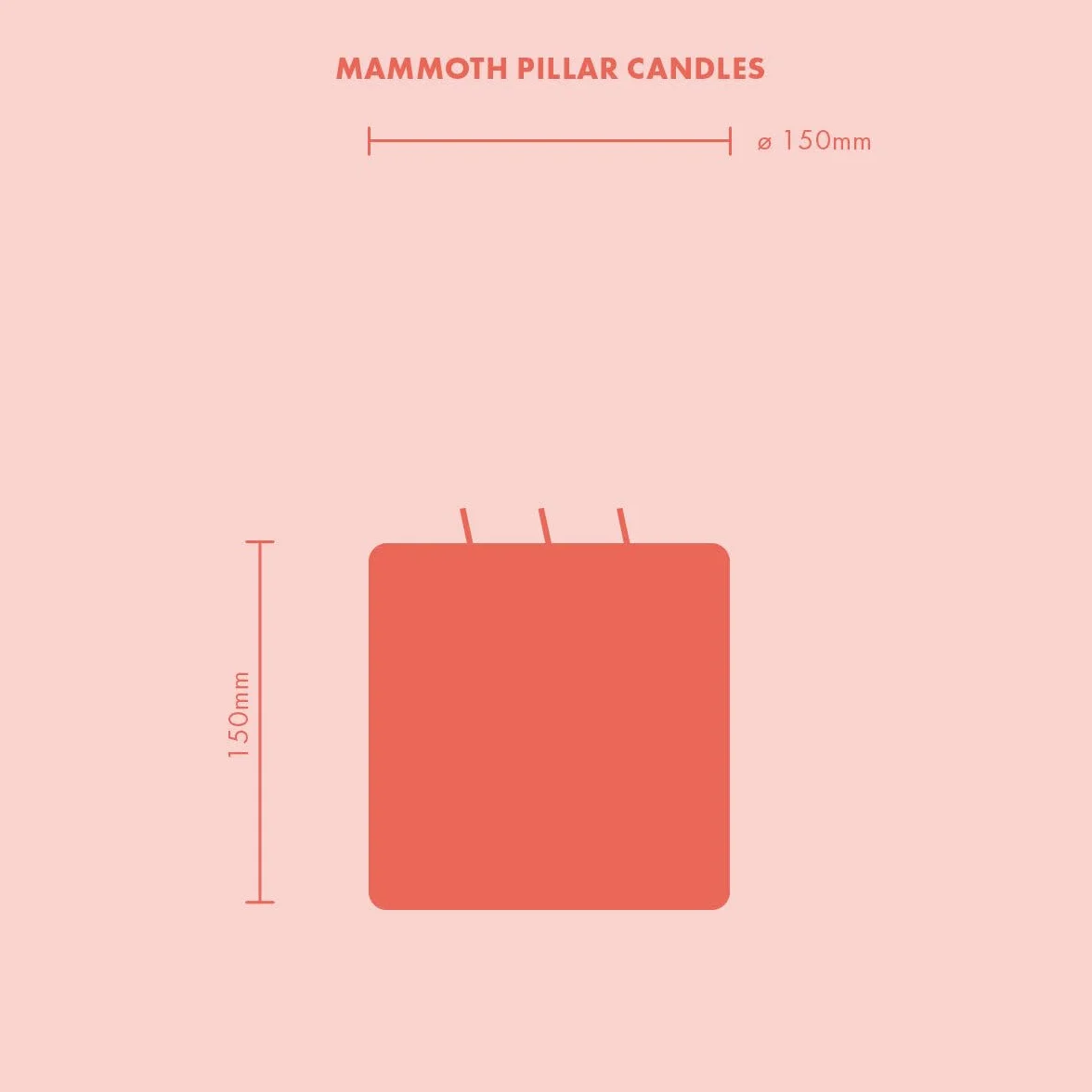 Bolsius Candela a Colonna XXL – Avorio – Multi-stoppino – Lunga Durata di combustione di 75 Ore – Extra Grande – Senza Profumo – Cera di paraffina – 15 x 15 cm