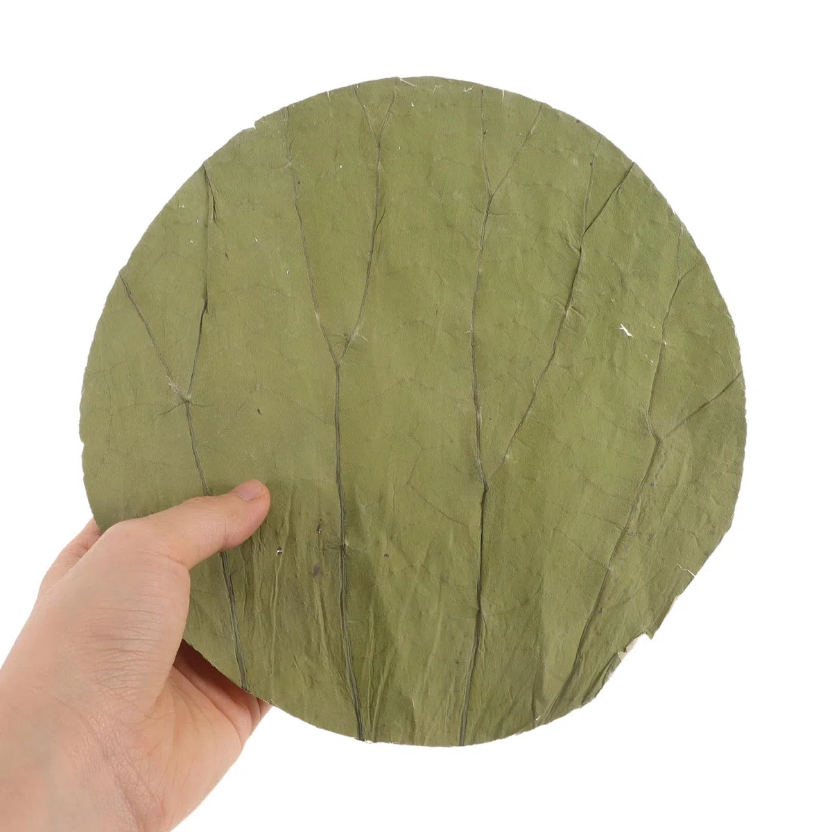 GARVALON Foglie di Loto Essiccate Rotonde di Rivestimento Naturale Affidabile e Sano 100 Pezzi per Sushi per Decorazioni e Preparazioni