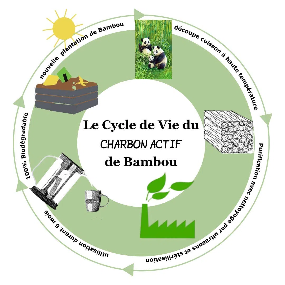 Confezione Caraffa d'acqua filtrante da 1,5 litri con un binchotan di bambù naturale Offert| carbone attivo 100% Bio Purificazione naturale dell'acqua Potabile del rubinetto