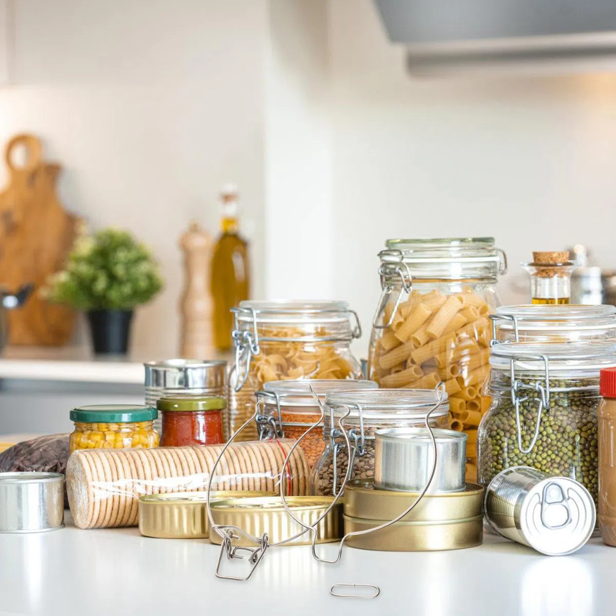 FUOYLOO 10 Pezzi Morsetti Metallici per Barattoli in Acciaio Inox, Fibbie di Chiusura a Molla per Barattoli di Vetro da 500ml, Accessori per Sigillatura Ermetica in Cucina