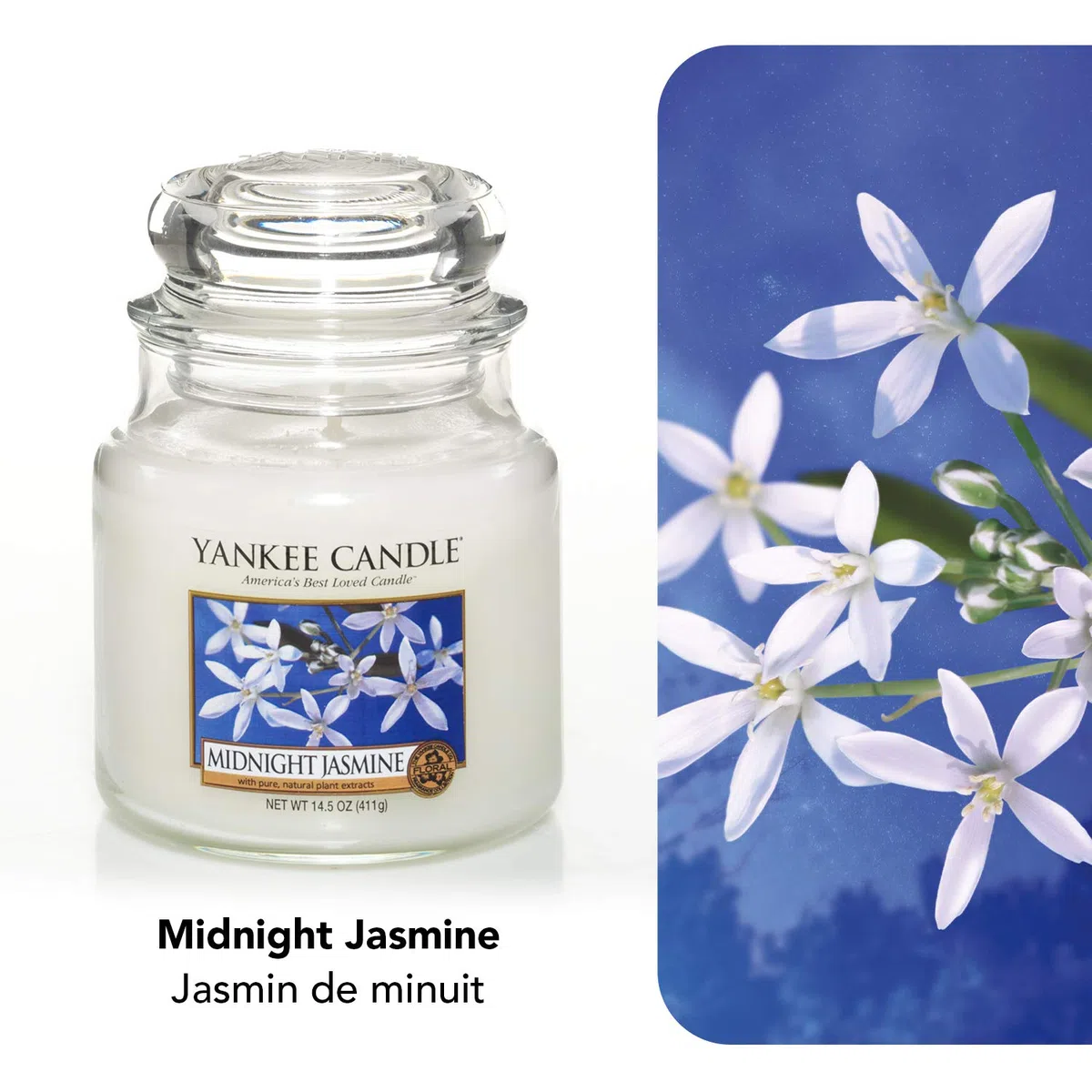 Yankee Candle Candela profumata in giara media | Gelsomino notturno | Durata Fino a 75 Ore