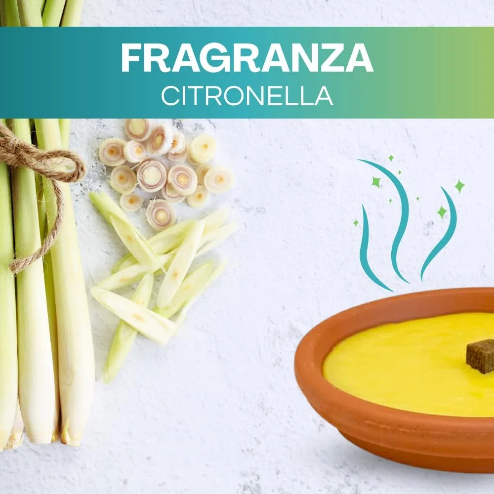 Palucart Candele alla Citronelle in Coccio, Varie Misure e Quantità, Ciotrelle contro zanzare in terracotta (10, Diam. 15cm)