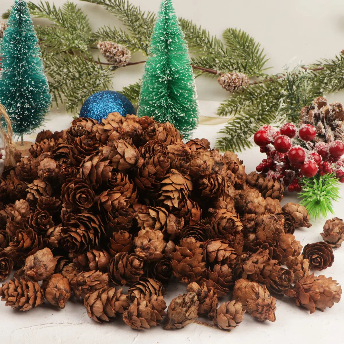 200 Pezzi Pigne di Natale Mini pigne naturali Pigne del Ringraziamento Pigne Ornamenti per la decorazione domestica Artigianato fai da te Albero di Natale Decorazione autunno inverno