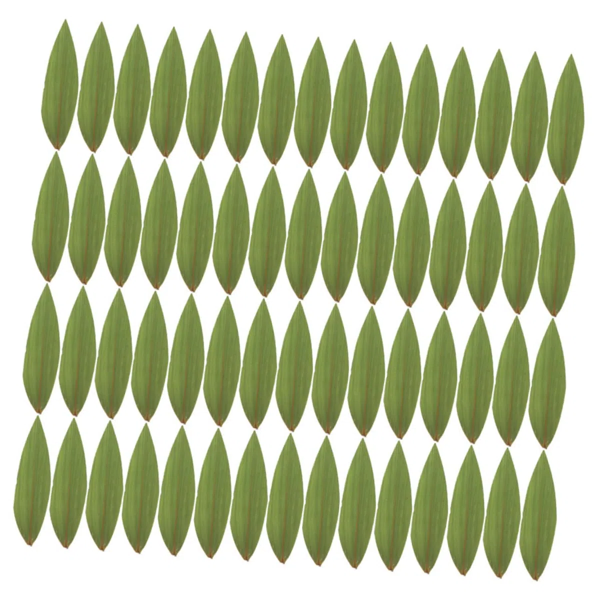 Gatuida 200pezzi Foglie di bambù per Sushi e Sashimi Foglie Decorative Vassoio per Sushi Giapponese Decorazione per Barche Forniture per Ristoranti